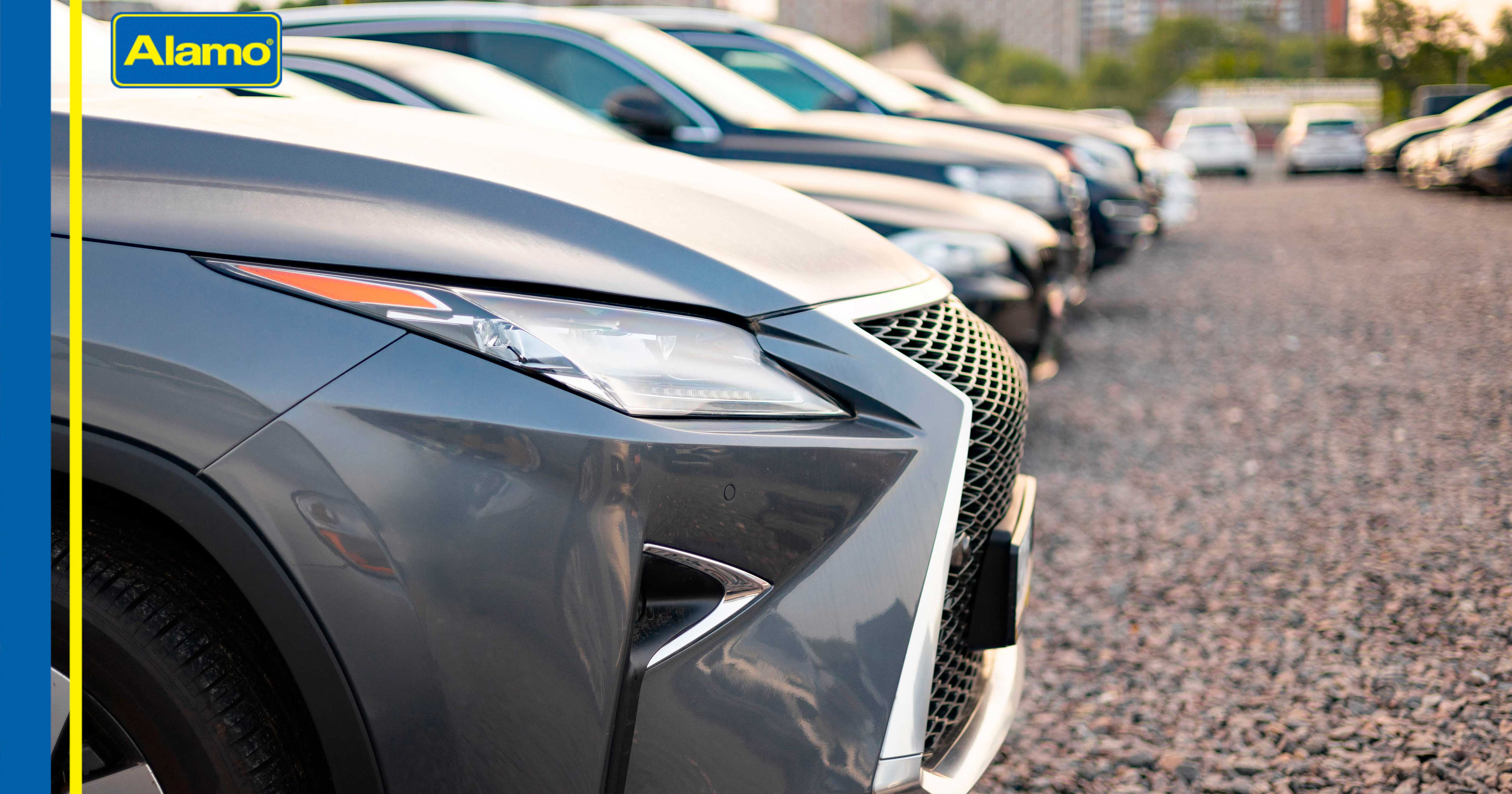 renta-de-autos-por-mes-alamo-flotilla-empresarial-negocio-alquiler